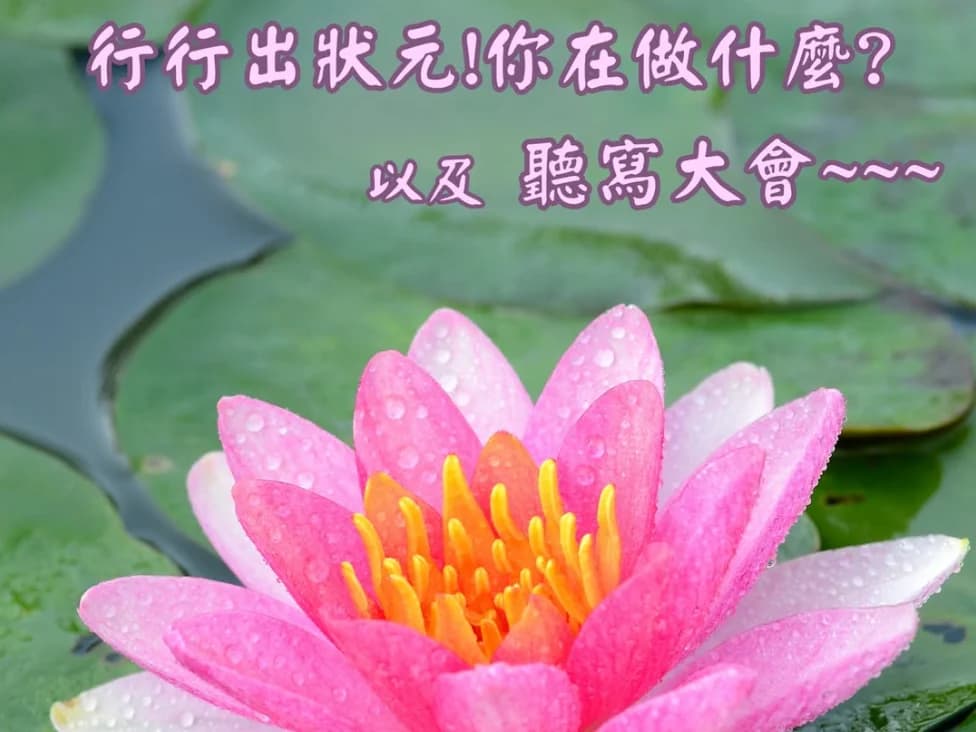 行行出狀元,你在做什麼?